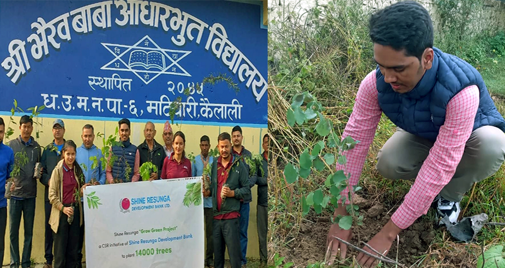 शाइन रेसुङ्गा बैंक धनगढी शाखाले वृक्षारोपण गर्दै मनायो १४ औं वार्षिकोत्सव