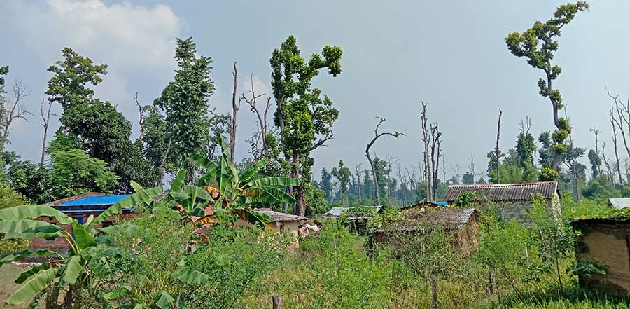 कञ्चनपुरमा अव्यवस्थित बसोबासीको समस्या समाधान गरिने