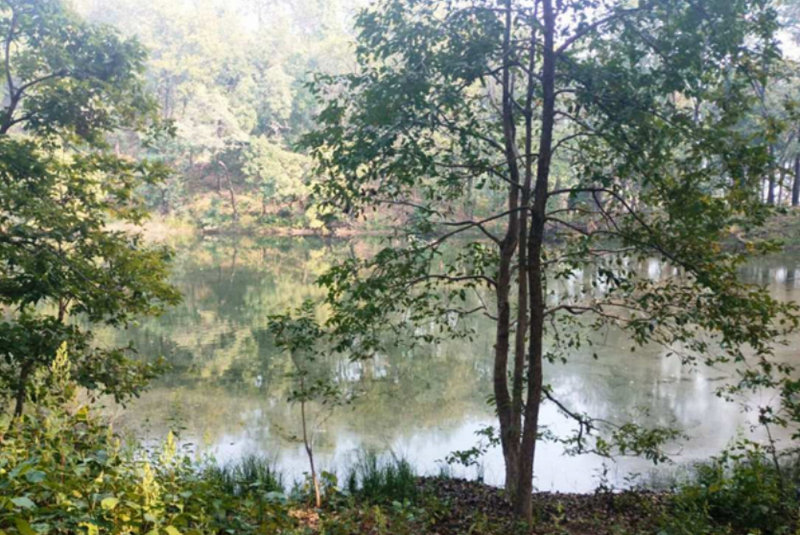 सौन्दर्यले भरिपूर्ण सुनदेवी ताल प्रचारप्रसारको अभावमा ओझेलमा