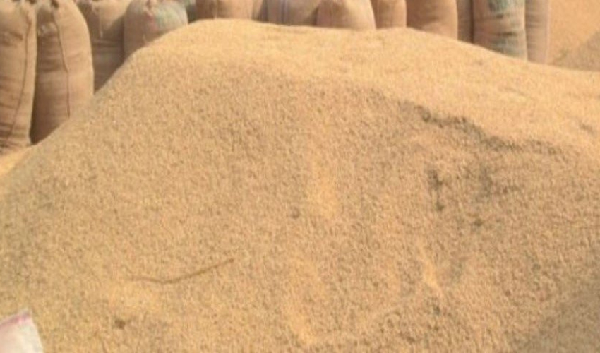 सुदूरपश्चिममा धानको उत्पादन बढ्यो: कञ्चनपुर र कैलाली अग्रीम