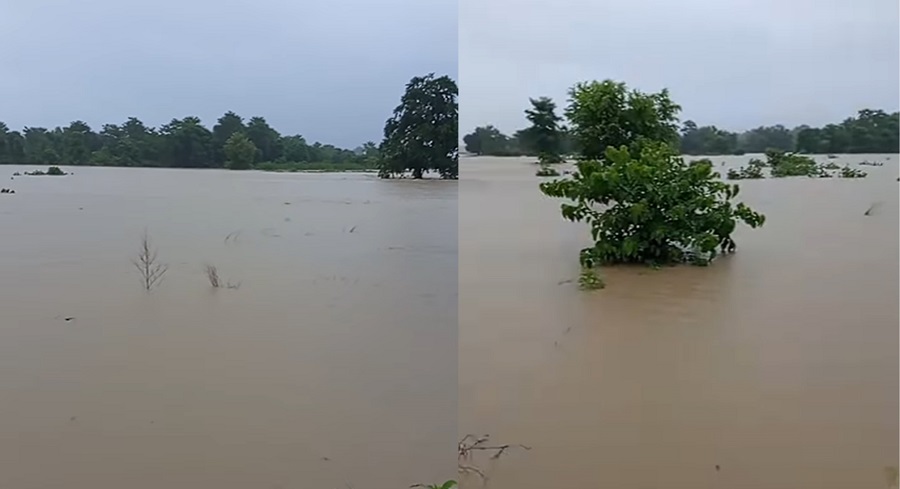 अविरल वर्षाबाट जनजीवन प्रभावित