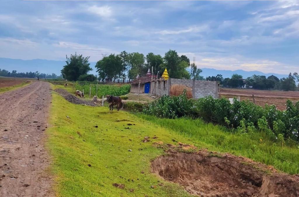 शुक्लाफाँटामा खोला अतिक्रमण गरी अवैद्य संरचना निर्माण, नगरपालिका मौन