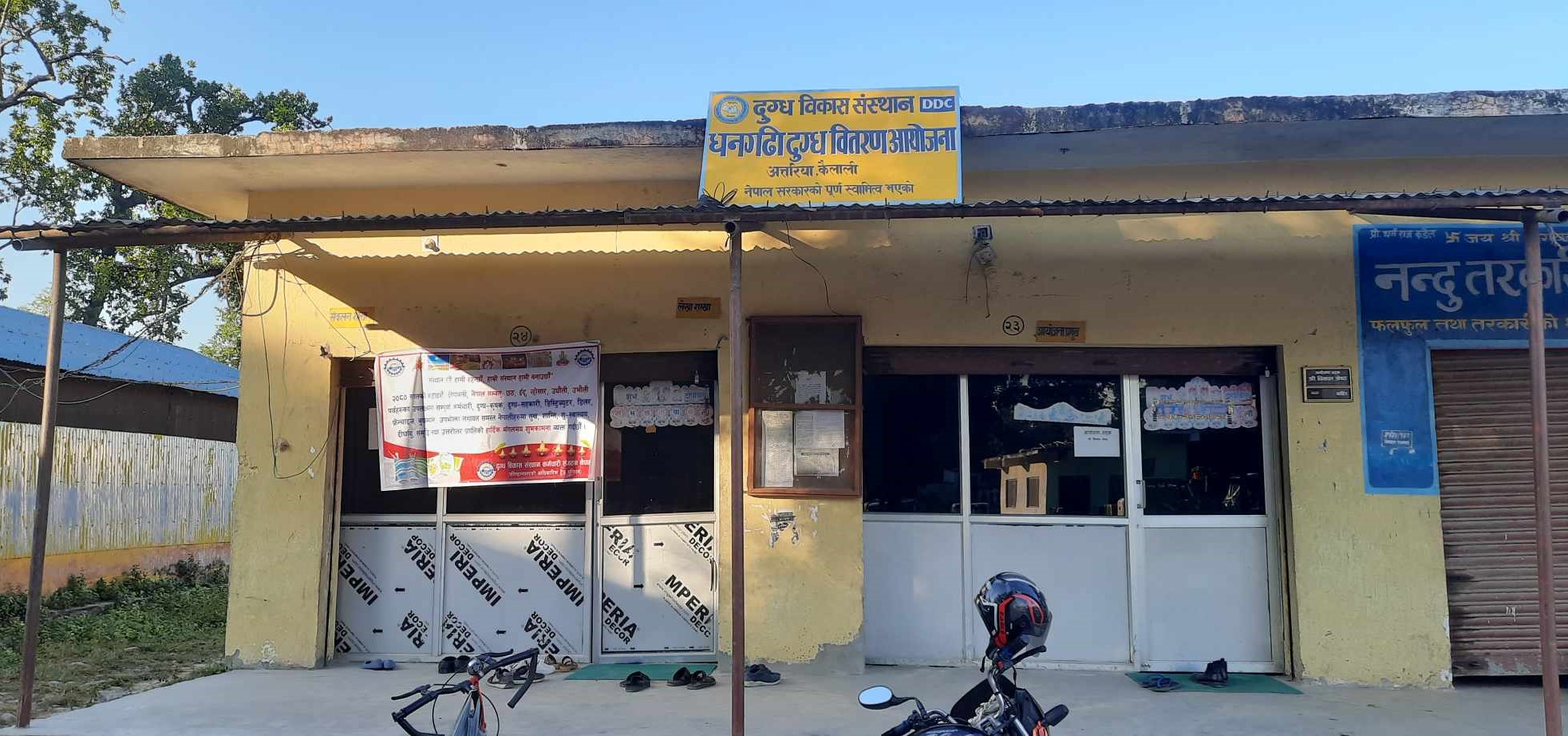 अत्तरियाका किसानलाई आंशिक राहत, डेढ महिनाको दूधको पैसा मात्रै हातमा