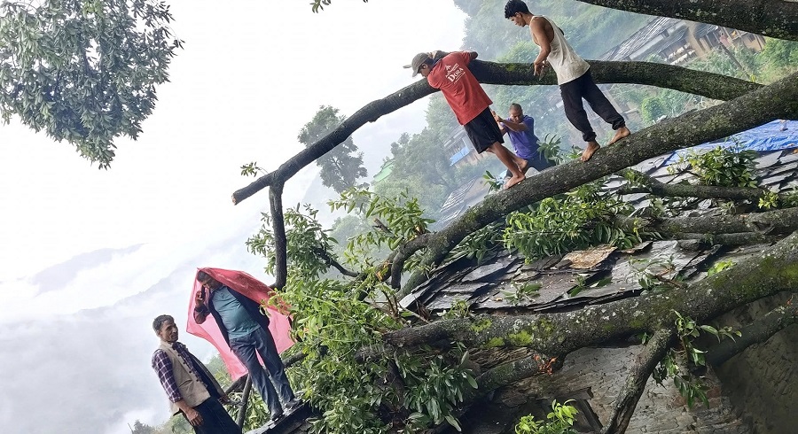 रुख ढल्दा घरमा क्षति