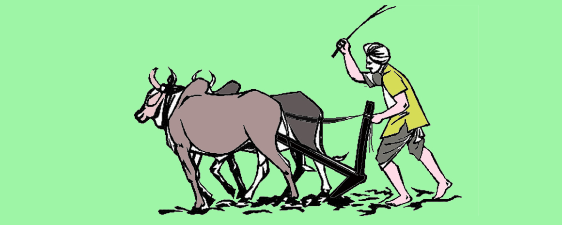 पुनर्स्थापनाको प्रतीक्षामा मुक्त हलिया परिवार