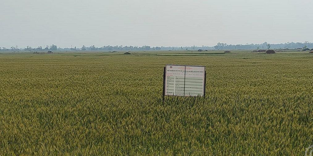 ‘सुपर जोन र जोन कार्यक्रम’ले बढायो उत्पादन