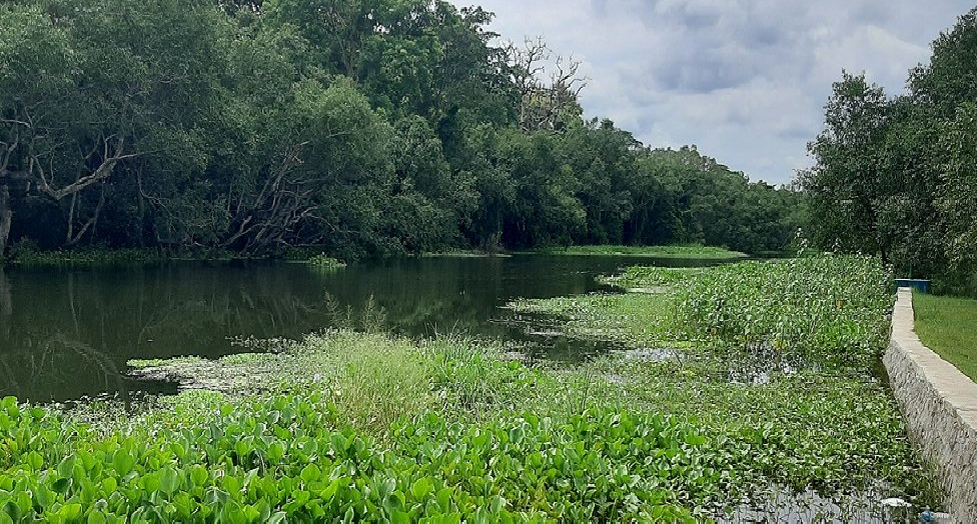 प्यारा ताल संरक्षण अभियान : नागरिकदेखि राज्यसम्म ध्यानाकर्षण
