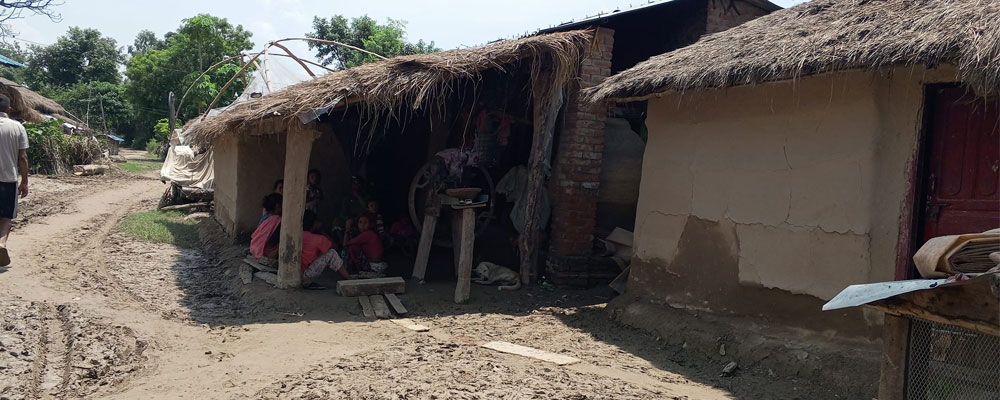 बाढीपीडित फर्किए घर