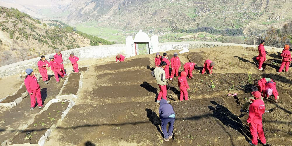 विद्यार्थीलाई तरकारी उत्पादन गर्न सिकाइँदै