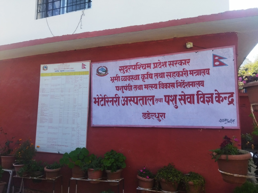 डडेलधुरामा खोरेत रोगविरुद्ध खोप अभियान सञ्चालन हुने