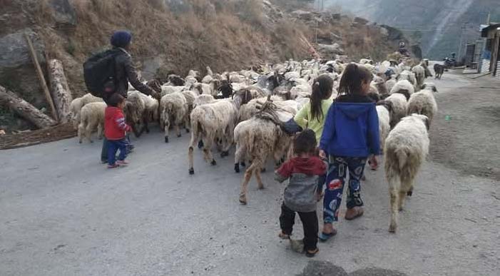 किसानलाई मतदानको समस्या