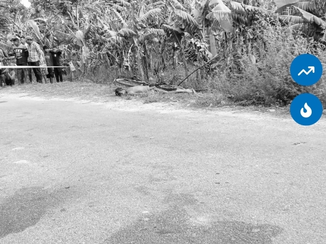 कञ्चनपुरकी एक महिलाले परपुरुषसंग  मिलेर गरिन् श्रीमानको हत्या