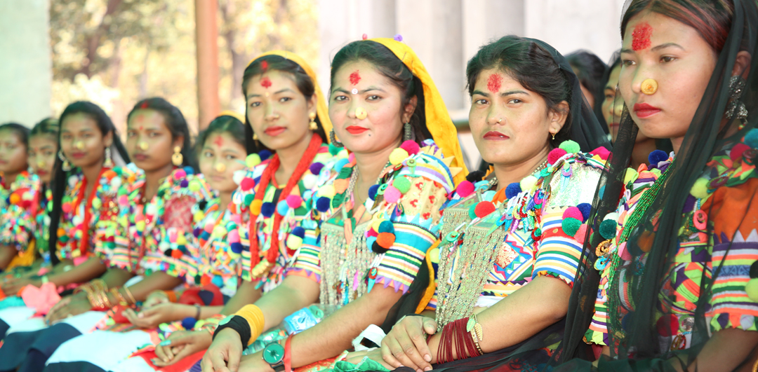 धनगढीमा पनि मनाईयो रानाथारु संस्कृतिको होरी पर्व