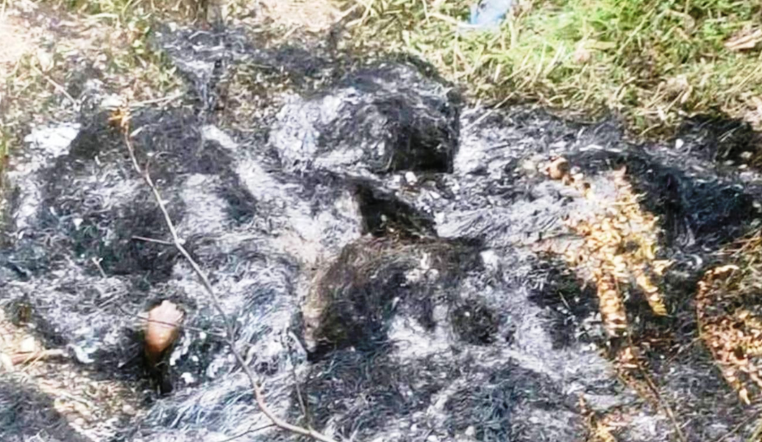 दार्चुलामा जलेको अवस्थामा महिलाको शव फेला, हत्या आशंकामा दुई जना नियन्त्रणमा