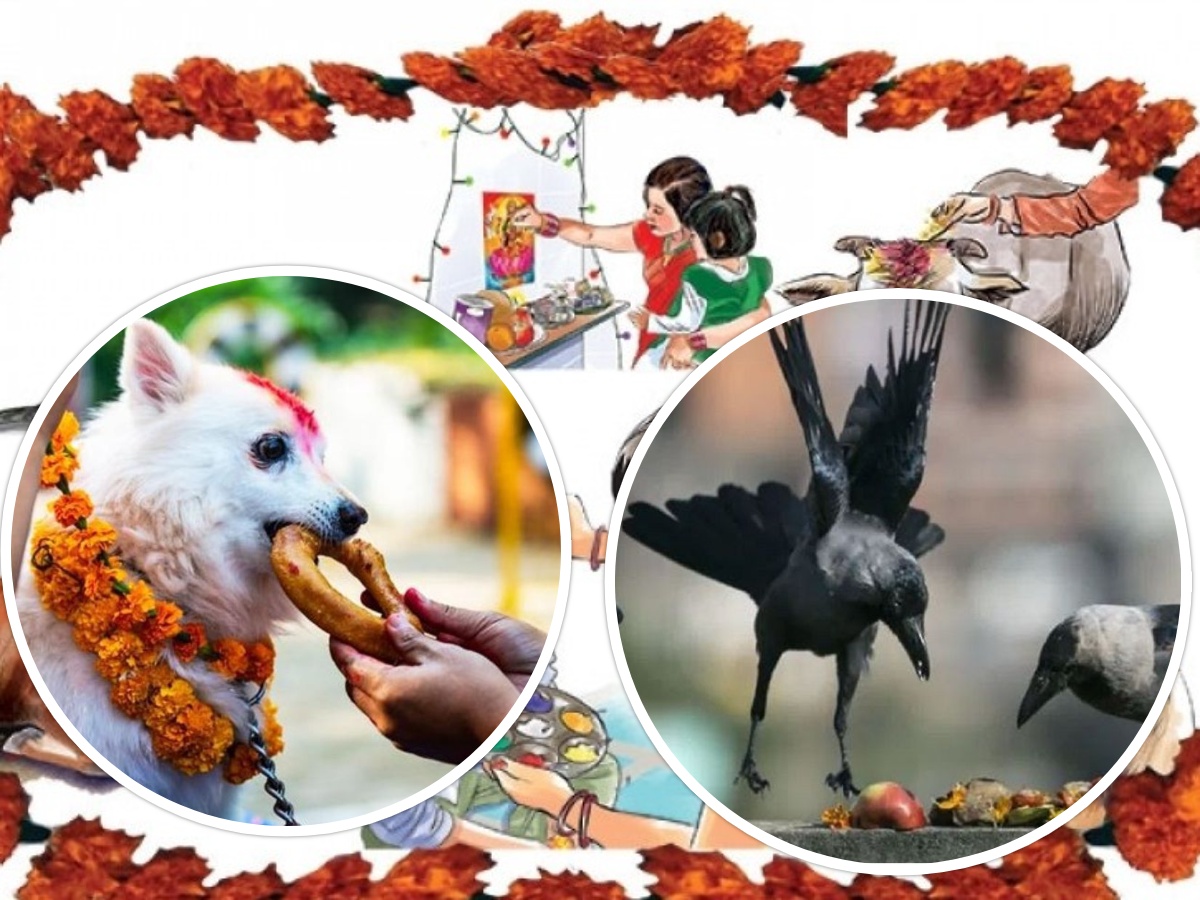 आज काग तिहार र कुकुर तिहार एकैदिन मनाइँदै