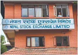 नेप्सको प्रमुख कार्यकारी अधिकृत पदका लागि परेका आवेदनमध्ये पहिलो चरणमा पाँच जना छनोट