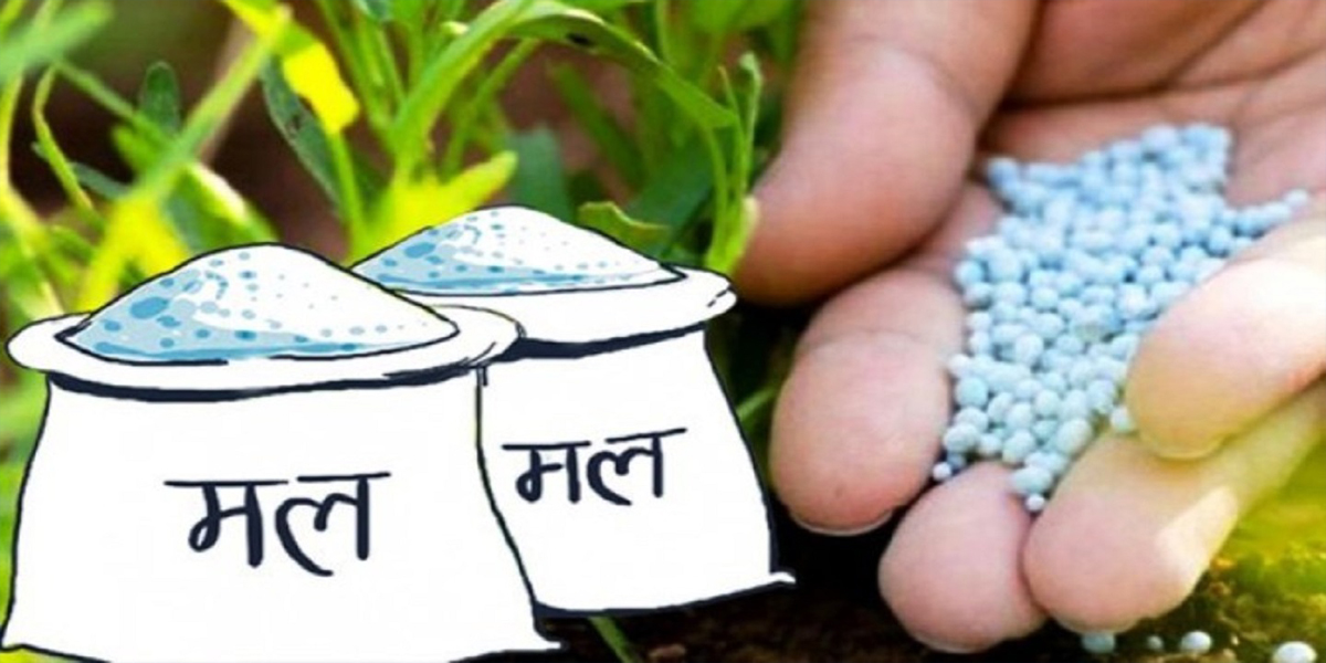 कैलालीका किसानले अझै मल पाएनन्
